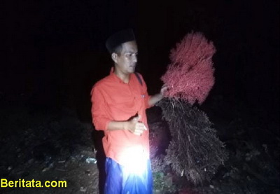 TERUMBU KARANG 1
