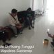 Awak Media Di Ruang Tunggu Reskrim Mapolres Sumenep