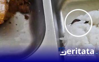 Heboh Ulat di Makan Bergizi Gratis, Pemerintah Siapkan Sanksi Berat untuk Yayasan Al Azhar Bluto 3 Screenshot 20251023 044639 Gallery