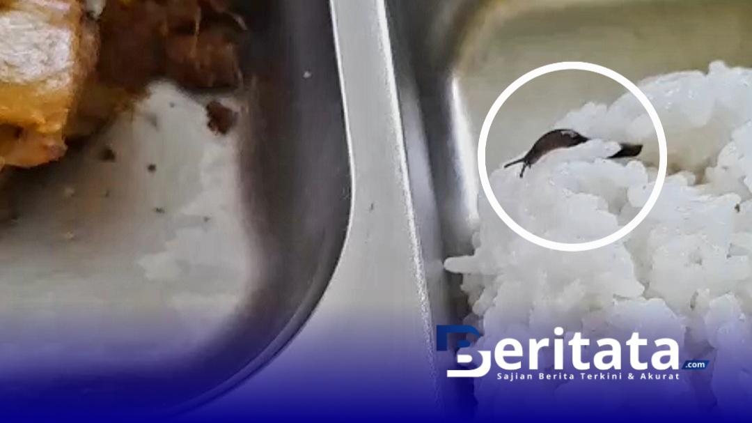 Screenshot 20251023 044639 Gallery