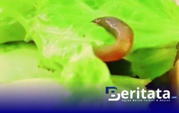 Screenshot 20251023 073258 Gallery