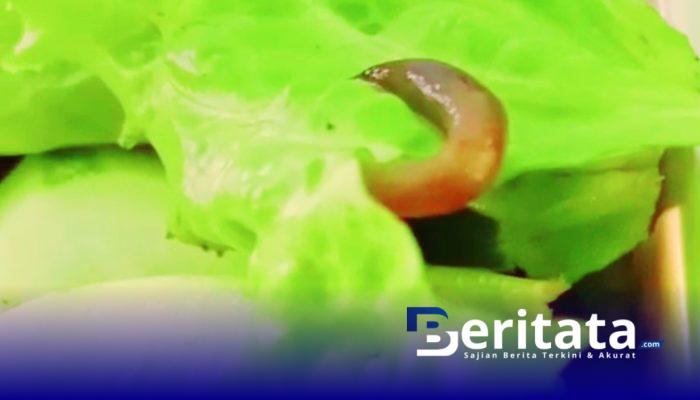 Kaget Temukan Ulat di Sayur Sekolah, Siswa Bluto Bikin Heboh Program MBG