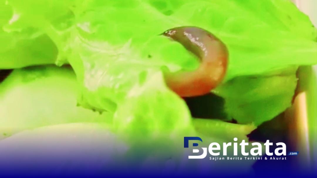 Screenshot 20251023 073258 Gallery