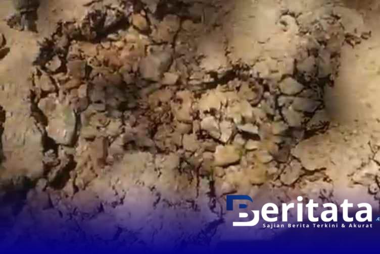 WhatsApp Image 2025 10 24 at 11.36.38